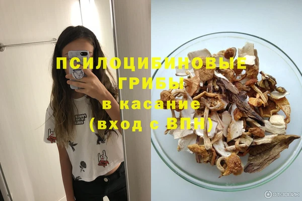 прущая мука Алзамай