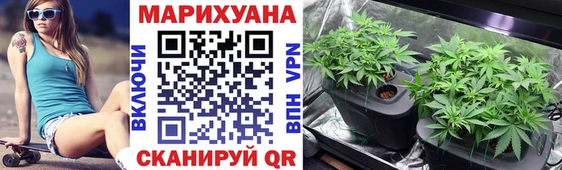 МАРИХУАНА сатива  Ипатово 